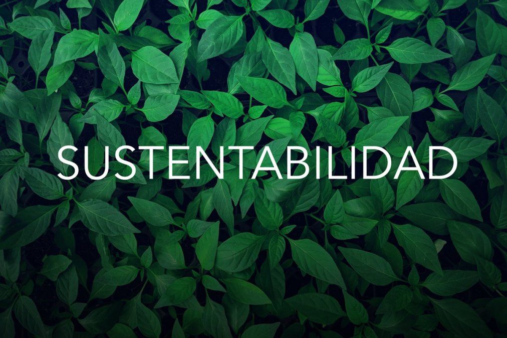 Tener un hogar sustentable es mas f&aacute;cil de lo que creemos.