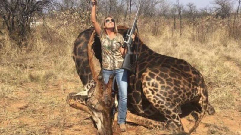 Una mujer estadounidense mató a una jirafa negra, posteó fotos y dijo sentirse “orgullosa”