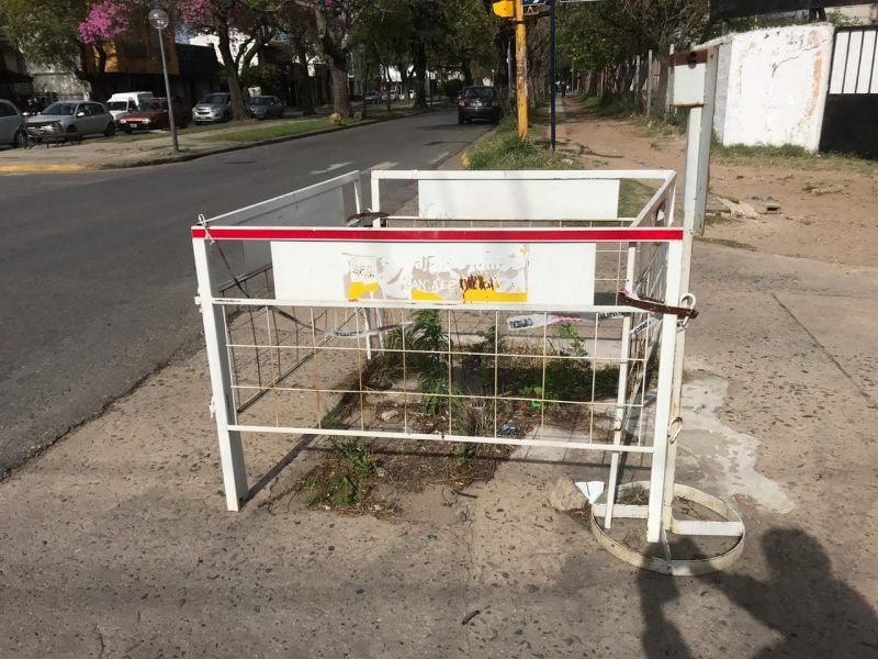 Corralito de Municipalidad: era tan viejo que hasta le creció una planta