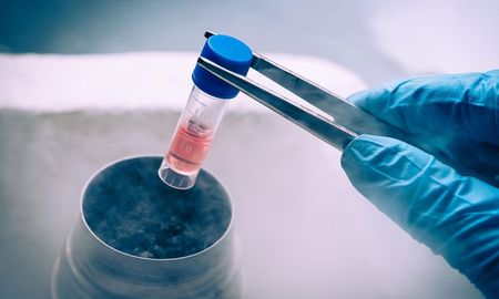 De acuerdo al fallo de la Justicia, el Instituto de Obra Médico Asistencial deberá cubrir el 100% de un tratamiento de congelamiento de óvulos. De acuerdo al fallo de la Justicia, el Instituto de Obra Médico Asistencial deberá cubrir el 100% de un tratamiento de congelamiento de óvulos.
