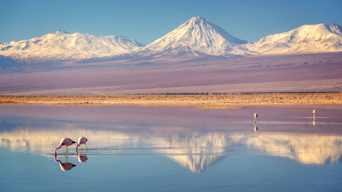 La localidad de San Pedro de Atacama se ubica en el corazón del desierto más árido del mundo y permite obtener paisajes que parecen salidos de otro planeta. La localidad de San Pedro de Atacama se ubica en el corazón del desierto más árido del mundo y permite obtener paisajes que parecen salidos de otro planeta.