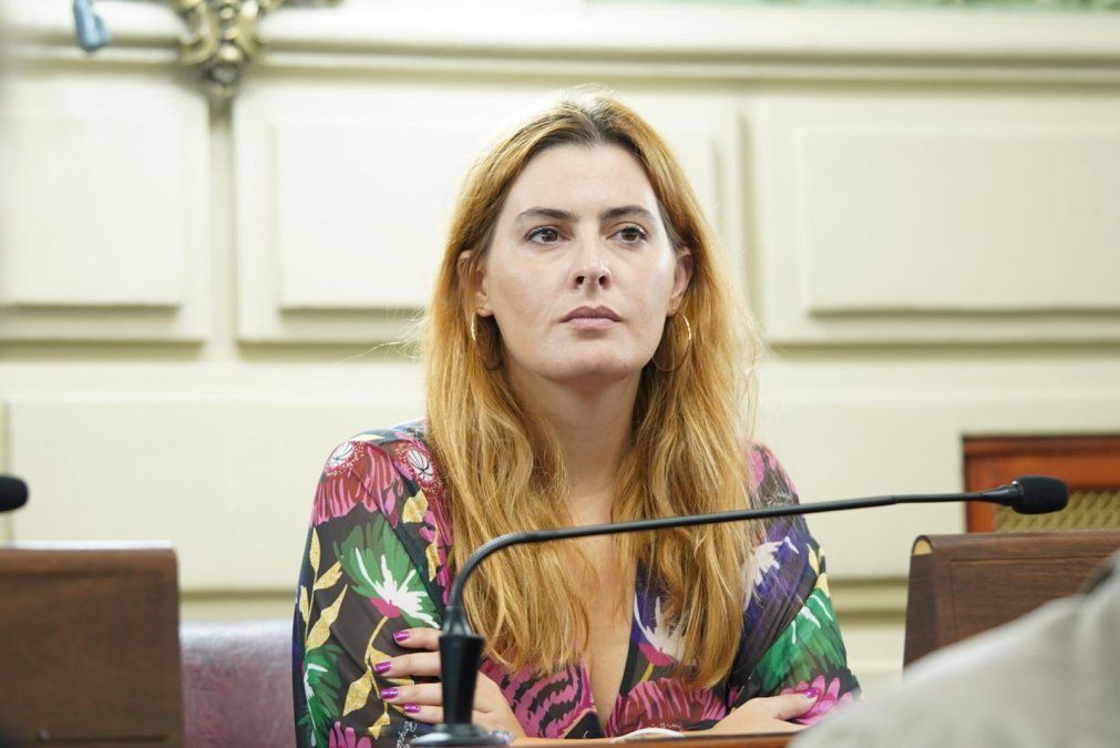 La autora del proyecto, Lionella Cattalini, explicó que empezaron a llegar intimaciones de desalojo. La autora del proyecto, Lionella Cattalini, explicó que empezaron a llegar intimaciones de desalojo.