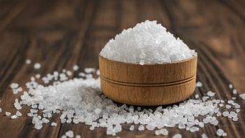 ¿Cuánta sal se puede consumir al día sin afectar la salud, según la OMS?