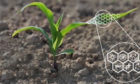 nanofertilizantes: que ventajas ofrecen frente a la urea y el fosfato diamonico nanofertilizantes: que ventajas ofrecen frente a la urea y el fosfato diamonico