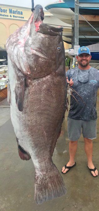 Pesca insólita: sacó un pez de 50 años y casi 160 kilos que está en peligro de extinción