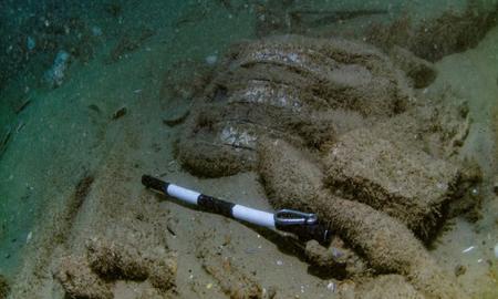 Inglaterra: encontraron restos de un buque hundido del siglo XVII junto a las costas británicas Inglaterra: encontraron restos de un buque hundido del siglo XVII junto a las costas británicas