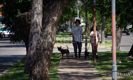 Quienes tengan más de 80 años la recuerdan como la “30 sin nombre”, ya que así se conocía a principios del siglo pasado lo que hoy es Avenida Galicia. Quienes tengan más de 80 años la recuerdan como la “30 sin nombre”, ya que así se conocía a principios del siglo pasado lo que hoy es Avenida Galicia.
