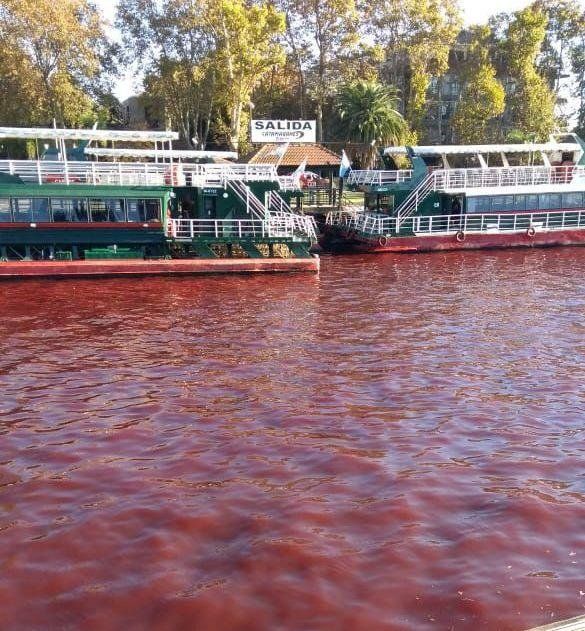 El Río Tigre amaneció totalmente rojo e investigan el cambio de color