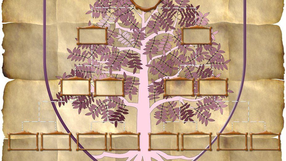 arbol genealogico.jpg