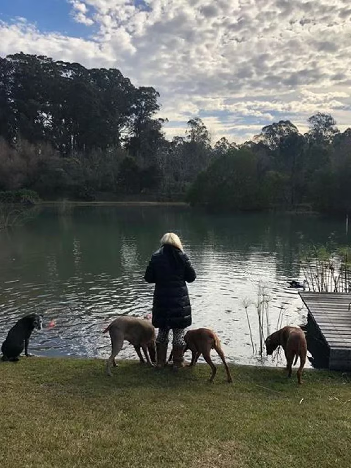 Susana Giménez junto a sus perros en su laguna en Punta del Este.