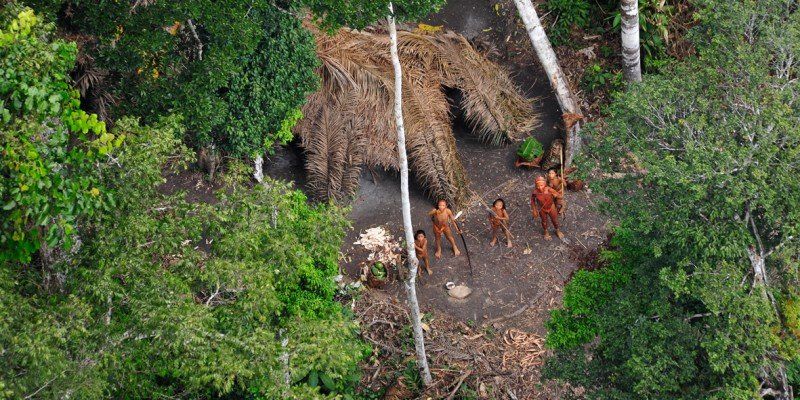 Incendios en el Amazonas: los pueblos indígenas están en peligro