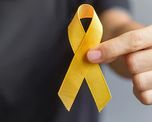 El lazo amarillo se utiliza en todo el mundo con el objetivo de crear conciencia acerca de la prevención del suicidio, un tema que genera cada vez más preocupación en Santa Fe. El lazo amarillo se utiliza en todo el mundo con el objetivo de crear conciencia acerca de la prevención del suicidio, un tema que genera cada vez más preocupación en Santa Fe.