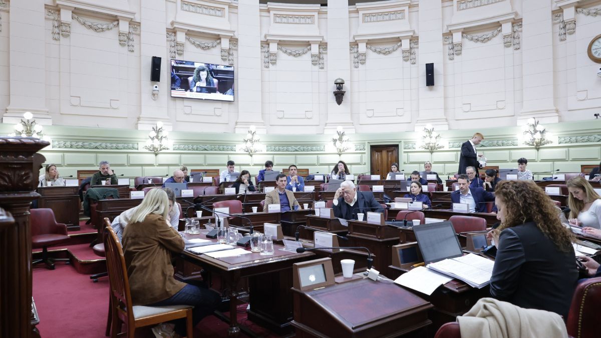 La Comisión de Declaraciones
