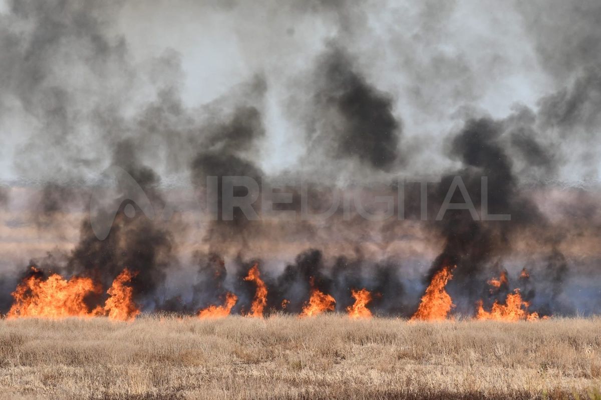 El presupuesto que la provincia de Santa Fe destina a las políticas ambientales es exiguo e insuficiente. El presupuesto que la provincia de Santa Fe destina a las políticas ambientales es exiguo e insuficiente.