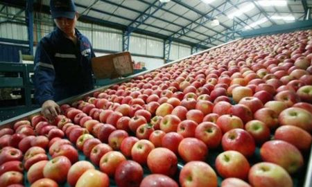Desde la Sociedad de Quinteros afirmaron que el costo de las frutas aumentaron por el costo de producción que demandan. Desde la Sociedad de Quinteros afirmaron que el costo de las frutas aumentaron por el costo de producción que demandan.