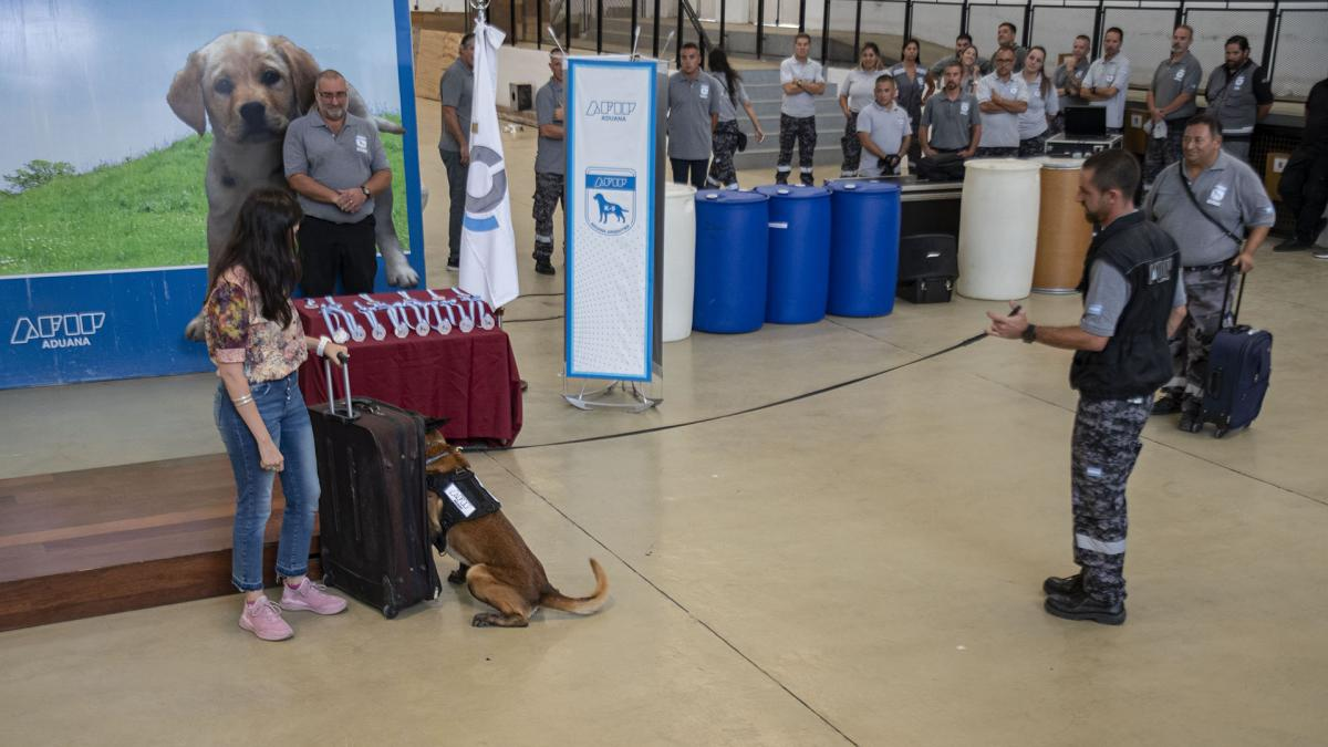Los perros demostraron, en el acto, algunos procedimientos para el control de Aduana.