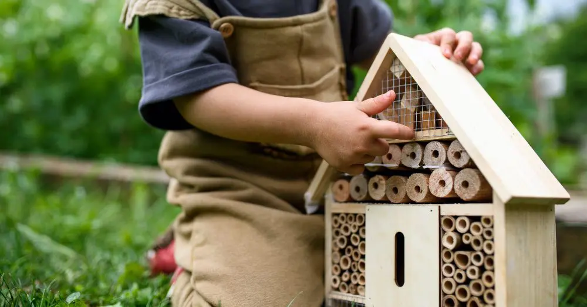 Los hoteles de insectos son una gran idea para conectar con la naturaleza en familia. Los hoteles de insectos son una gran idea para conectar con la naturaleza en familia.