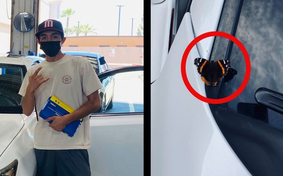 Compró su primer auto y aseguró que su mamá fallecida se le apareció en forma de mariposa