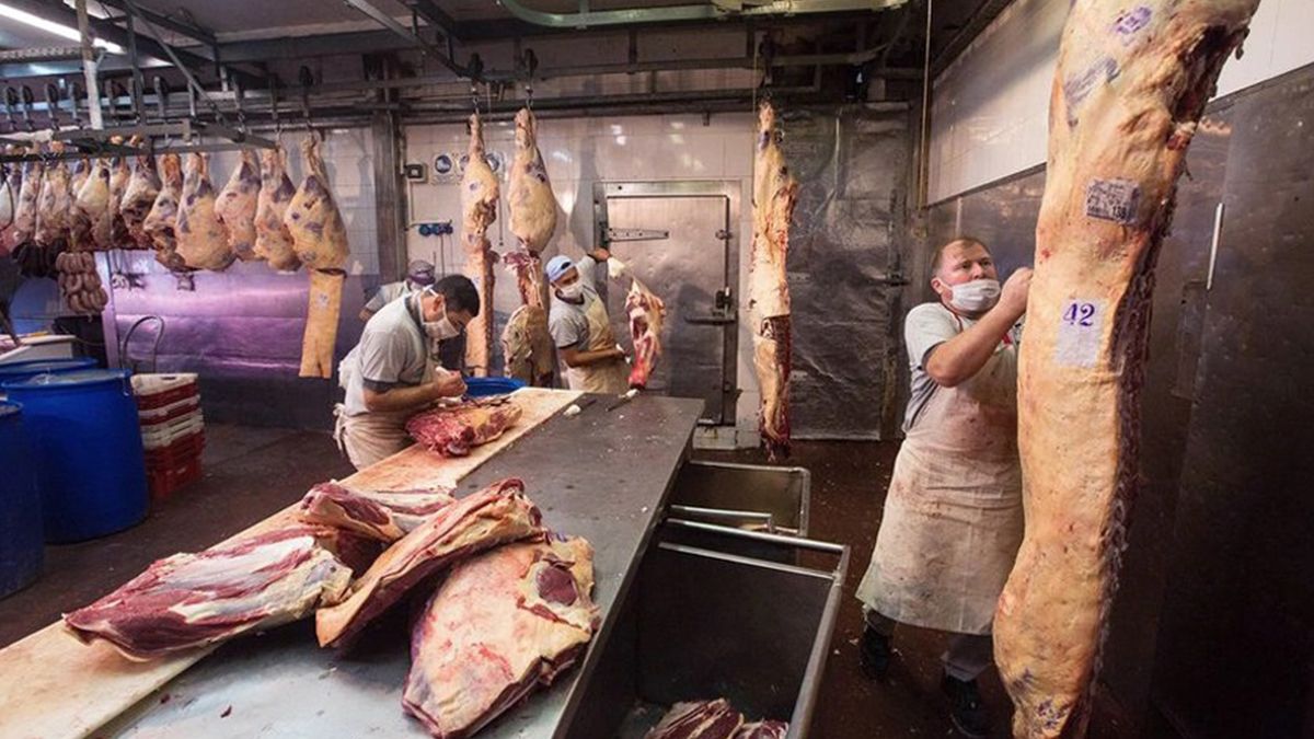 El Gobierno tiene suspendidas el 50% por ciento de las exportaciones de carne