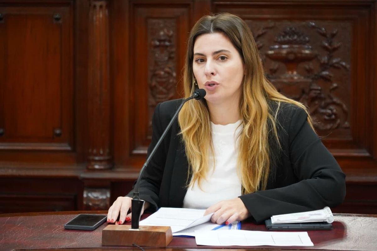 La diputada provincial Lionella Cattalini preside la comisión de Acuerdos de la Legislatura de Santa Fe.