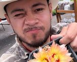 Jonathan Citadino, experto en jardinería: Si querés reproducir plantas, te recomiendo esta especie Jonathan Citadino, experto en jardinería: Si querés reproducir plantas, te recomiendo esta especie