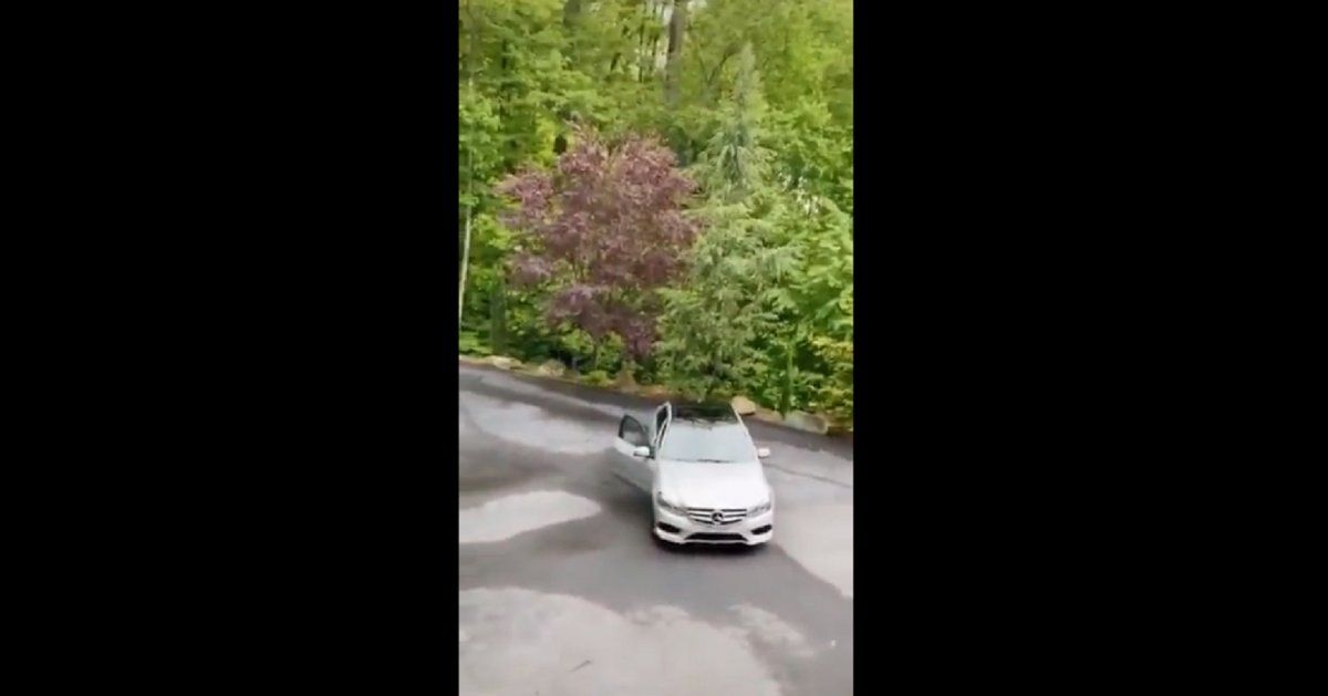 Video: un oso abrió la puerta de un Mercedes-Benz