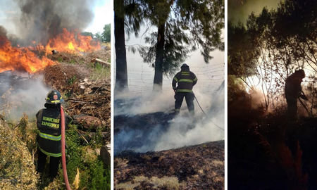 Los bomberos debieron trabajar para contener las llamas en 30 incendios forestales de Santa Fe. Los bomberos debieron trabajar para contener las llamas en 30 incendios forestales de Santa Fe.