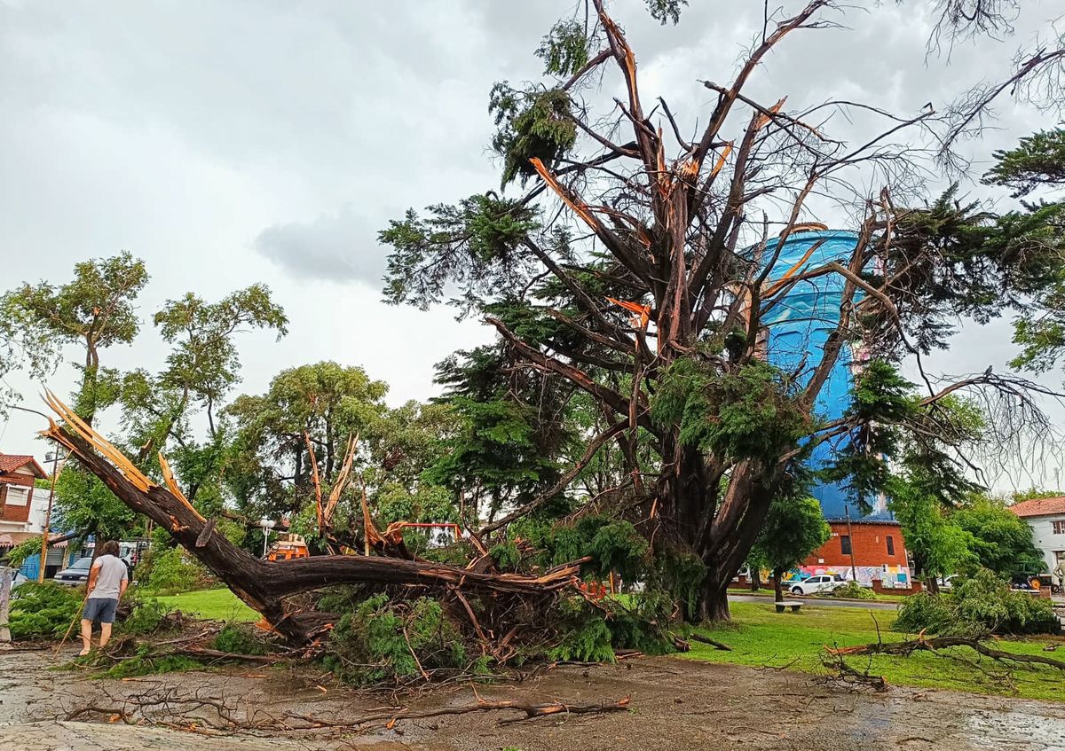 Temporal en Miramar. Temporal en Miramar.