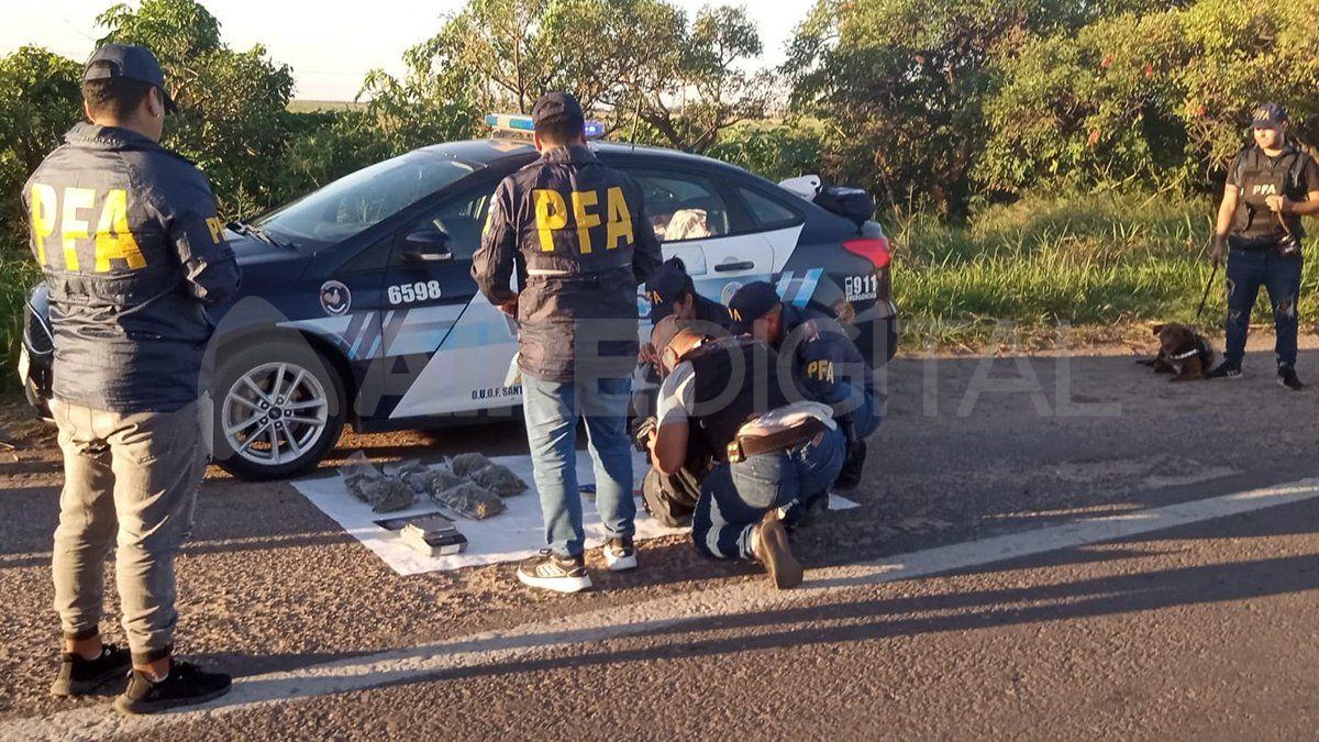 Policías de la Federal en pleno cotejo de los cogollos encontrados en el vehículo.&nbsp;
