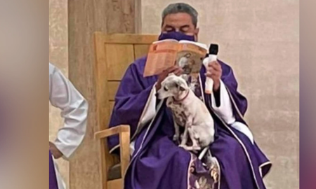 Cura que lleva a misa a su perrito enfermo se vuelve viral Cura que lleva a misa a su perrito enfermo se vuelve viral