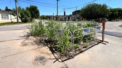 Barrio Los Hornos: preocupación por la abundante maleza dentro de un corralito de Aguas Santafesinas