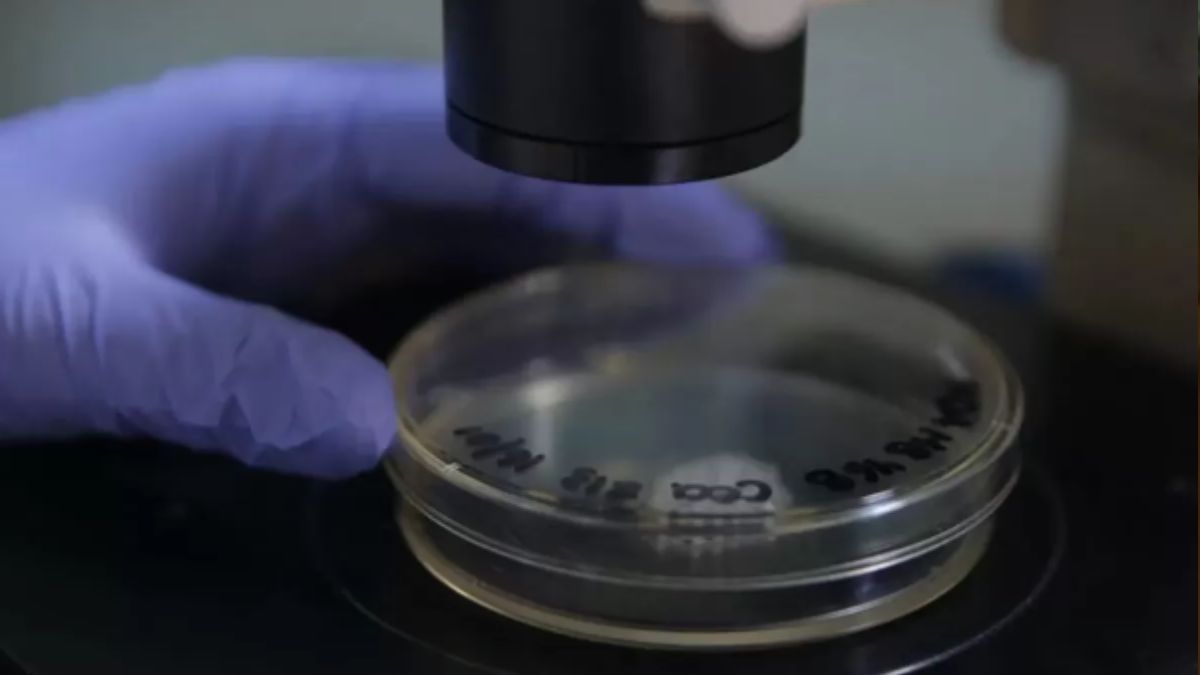 Se aprobó en el país una nueva terapia que permite tratar 17 tipos de tumores sólidos&nbsp;