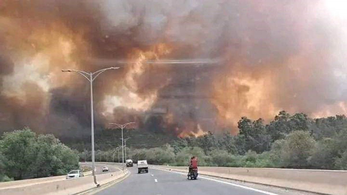 Al menos 26 muertos y casi 50 heridos en incendios forestales en el norte de Argelia.