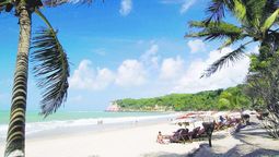 El Santuario Ecológico de Pipa protege uno de los últimos remanentes de la Mata Atlántica en la región, funcionando como un corredor biológico esencial para la fauna nativa del noreste brasileño.