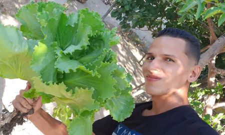 Video viral: joven enseñó a sembrar vegetales en casa. Video viral: joven enseñó a sembrar vegetales en casa.