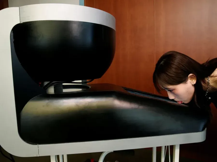 La novedad llamó la atención de todo el público.