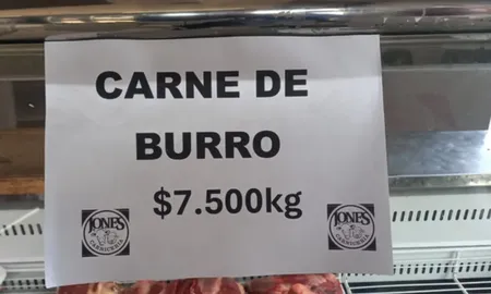 En los últimos días, la posibilidad de incorporar la carne de burro a la dieta cotidiana de los argentinos generó curiosidad y debate.&nbsp;