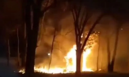 Un auto perdió el control, chocó contra un árbol y se incendió, dejando cuatro muertos por la ruta 9. Un auto perdió el control, chocó contra un árbol y se incendió, dejando cuatro muertos por la ruta 9.