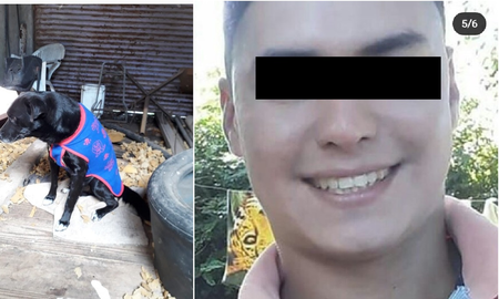 Su perro mordió a su hijo y lo colgó de un árbol hasta matarlo