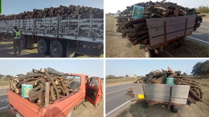 Bosques nativos afectados en Santa Fe: se incautaron más de 740 toneladas de leña y carbón durante 2025