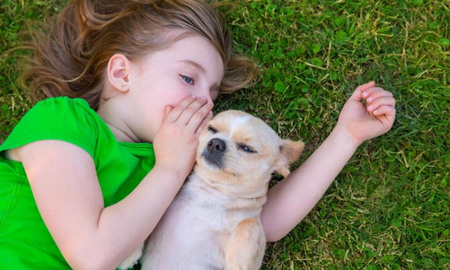 Las personas que hablan con sus mascotas tienen una cualidad excepcional Las personas que hablan con sus mascotas tienen una cualidad excepcional