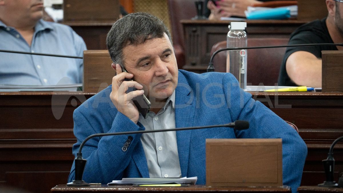 El diputado Marcelo González sostuvo que existen herramientas institucionales, como las “ruedas de convivencia” y los equipos interdisciplinarios, pero advirtió que resultan insuficientes frente a la magnitud de la demanda. El diputado Marcelo González sostuvo que existen herramientas institucionales, como las “ruedas de convivencia” y los equipos interdisciplinarios, pero advirtió que resultan insuficientes frente a la magnitud de la demanda.