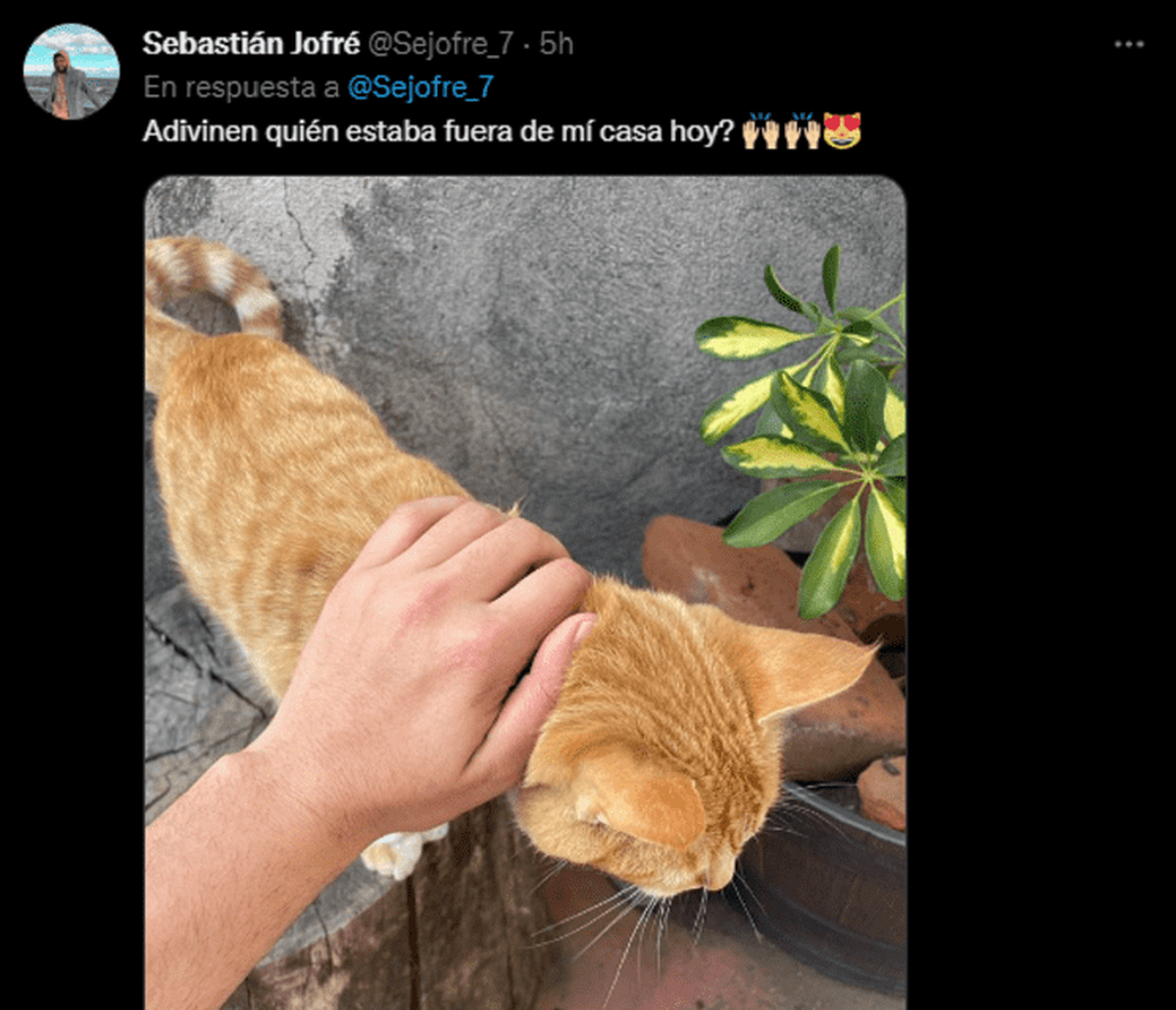 El joven aseguró que el gato lo visita bastante seguido.