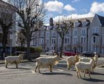 Llandudno (Gales, Reino Unido), 31 de marzo de 2020