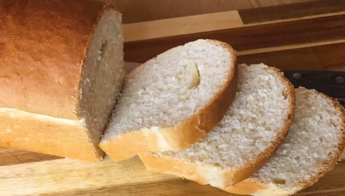 El pan lactal es una de las mejores opciones para acompañar tus comidas. El pan lactal es una de las mejores opciones para acompañar tus comidas.