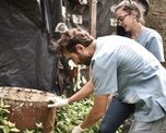 En el operativo de descacharrado en barrio San Lorenzo están trabajando cerca de 40 personas que salen en duplas, tanto por la mañana como por la tarde. En el operativo de descacharrado en barrio San Lorenzo están trabajando cerca de 40 personas que salen en duplas, tanto por la mañana como por la tarde.