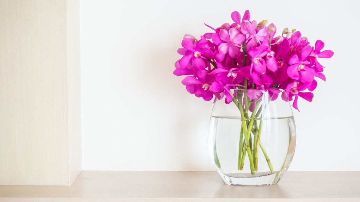 Cómo hacer para que las flores en el florero duren más tiempo.