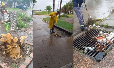 la municipalidad de santo tome trabaja para normalizar la ciudad tras las intensas lluvias la municipalidad de santo tome trabaja para normalizar la ciudad tras las intensas lluvias