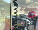 video: asi persiguio un toro a los bomberos que apagaban incendios forestales en california video: asi persiguio un toro a los bomberos que apagaban incendios forestales en california