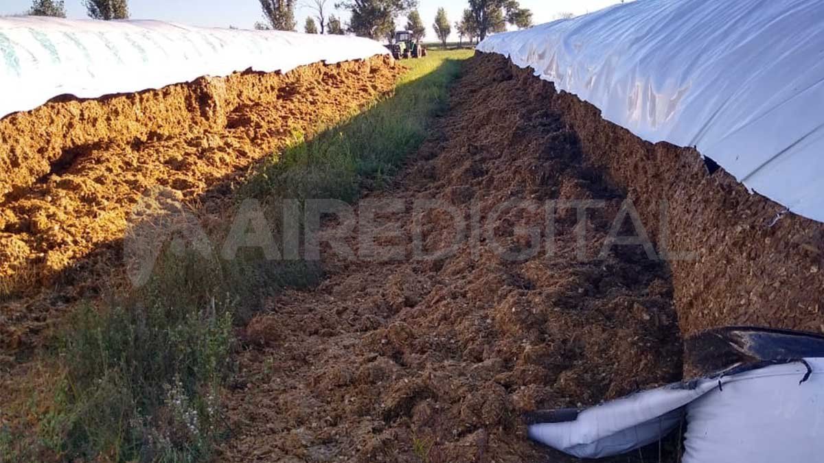 Sa Pereyra: destruyeron en el tambo todas las bolsas con la comida para las vacas